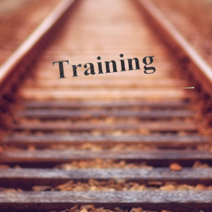 Websiteistic Training