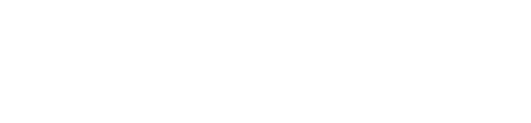 lgr logo final final white 768x179
